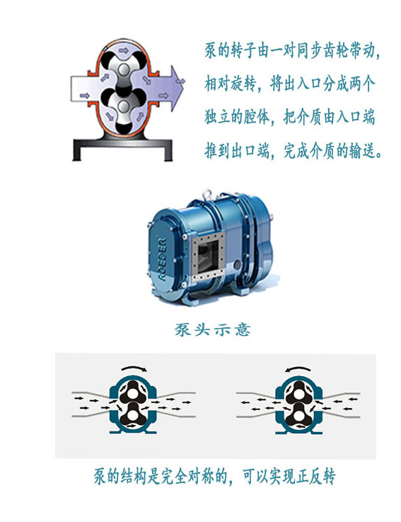 污水回收泵工作原理