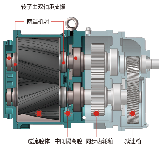無(wú)阻塞轉(zhuǎn)子泵